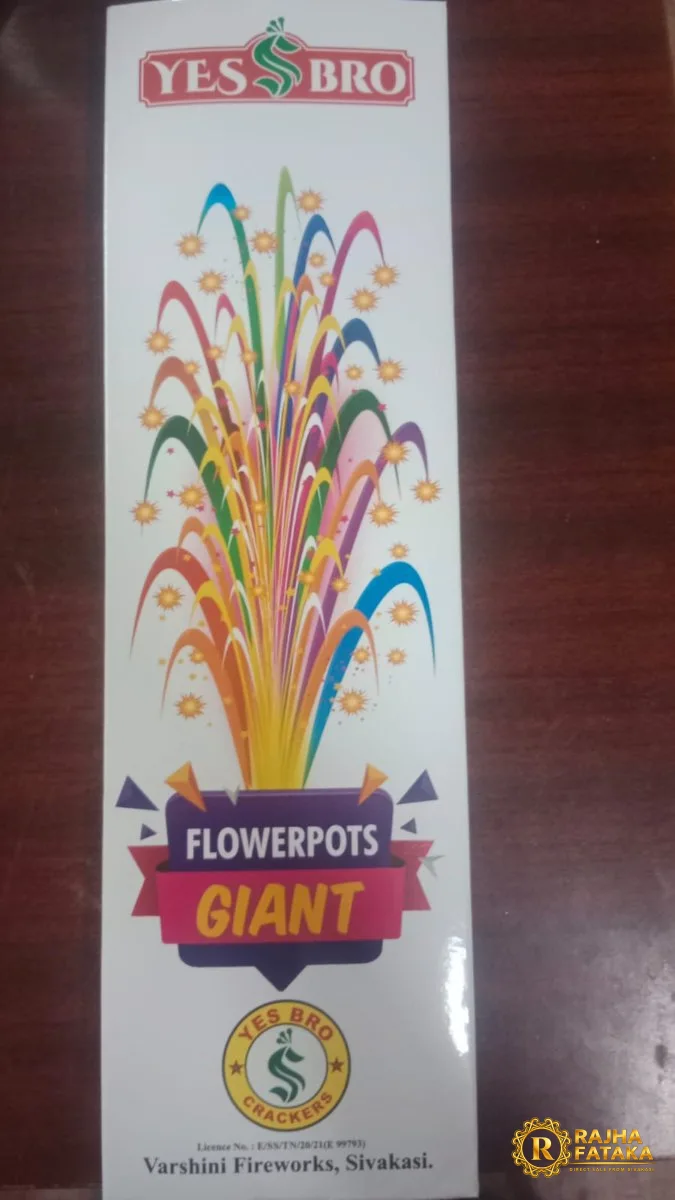 Flower Pots Mega Asoka / Giant